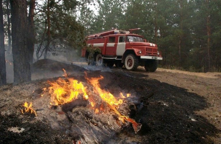Трехдневная пожароопасность установится в районах Дагестана