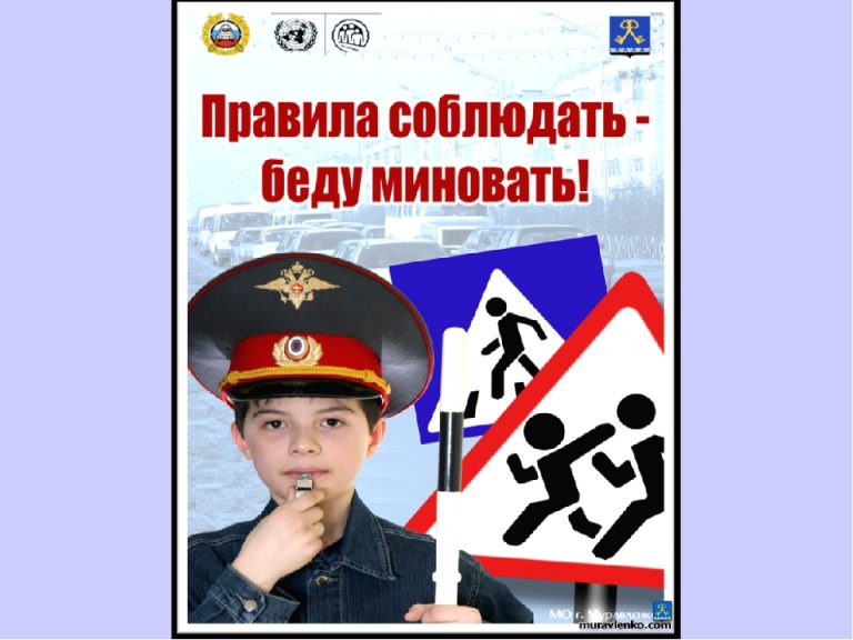 Новый учебный год для дагестанских школьников начнется с основ безопасности дорожного движения