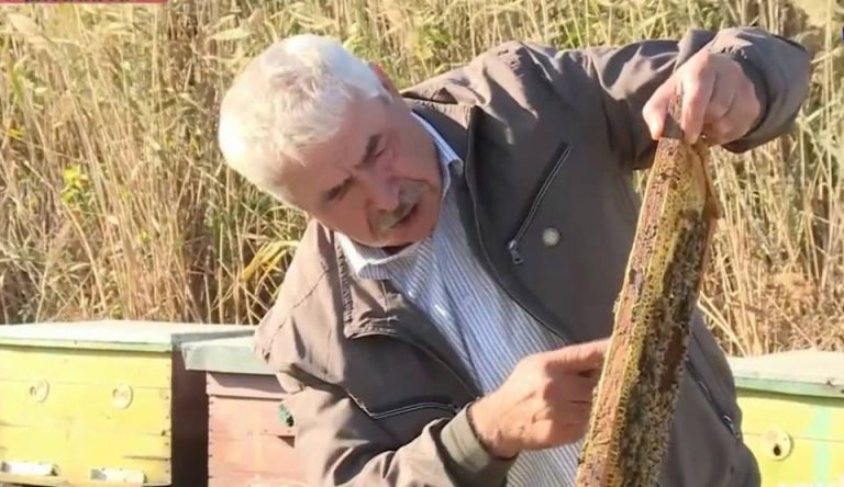 Дагестанский мед признан одним из лучших в мире