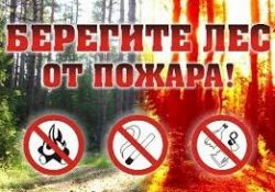 Профилактика лесных пожаров