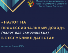 В Дагестане с 1 июля введут специальный налоговый режим для самозанятых