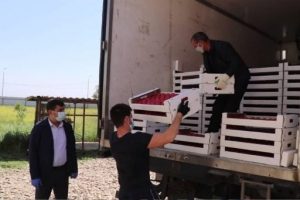 Аграрии Дербентского района отправили свою продукцию врачам Москвы