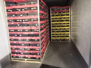 Дагестанский Россельхознадзор выявил карантинные объекты в поступивших партиях фруктов и овощей из Ирана и Азербайджана