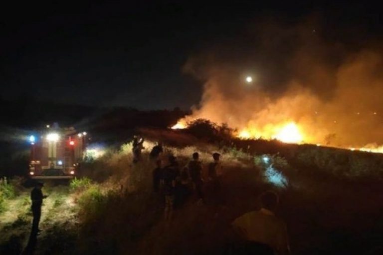 Возгорание камыша в Эльтавском лесу ликвидировано