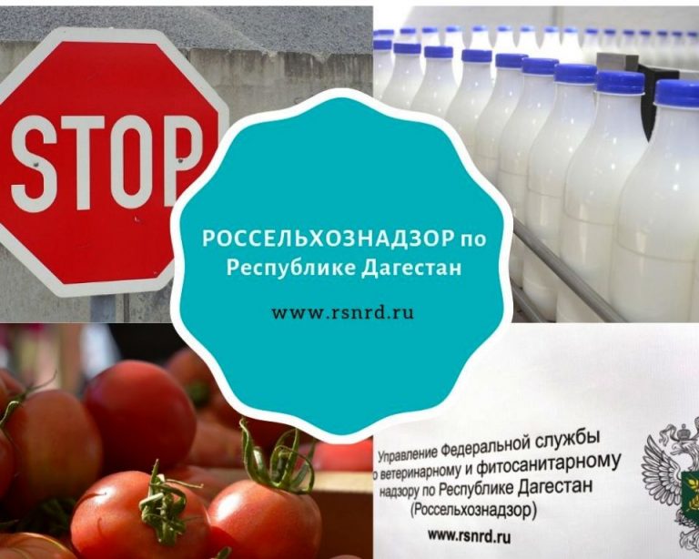 За 9 месяцев 2020 года Россельхознадзор Дагестана не допустил к ввозу на территорию РФ свыше 1200 тонн подкарантинной продукции