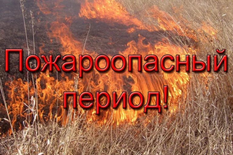 Даглесхоз ввел режим ограничения пребывания в 11 лесничествах