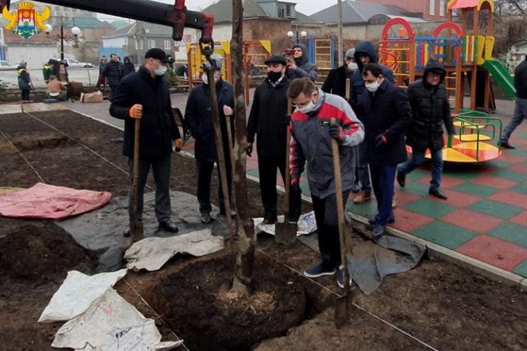 Махачкала готовится к 100-летию ДАССР: городские руководители высадили магнолии на проспекте Акушинского