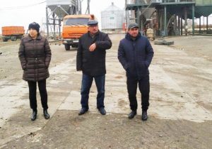 Дагестан будет обеспечен качественными семенами риса