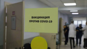 Гинцбург отверг необходимость в долгом запрете на алкоголь при вакцинации