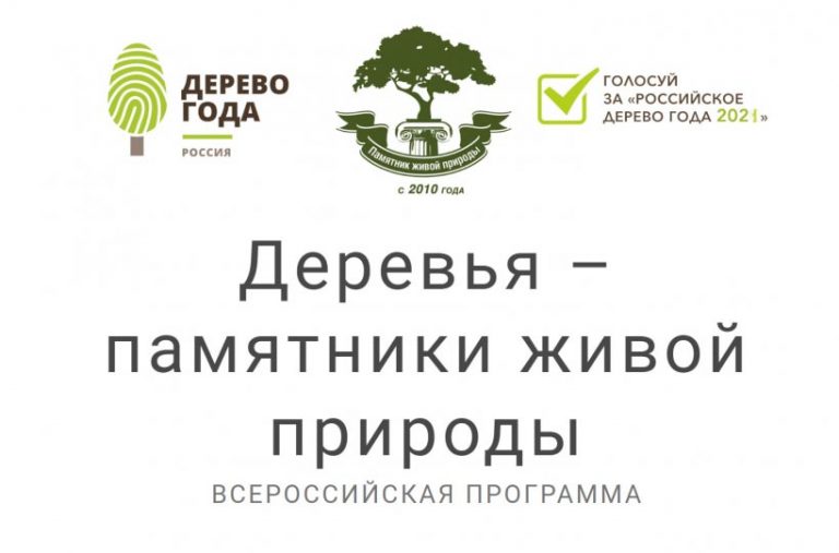 Информация о международном конкурсе «Европейское дерево года-2021».