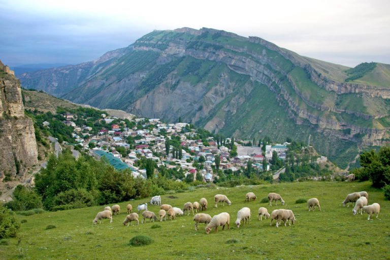 Туризм