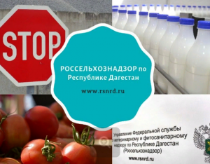 Управление Россельхознадзора по РД разъясняет требования по производству и реализации сырого молока и молочных продуктов