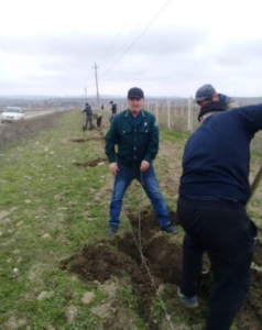 В Дербентском районе лесники провели акцию по озеленению