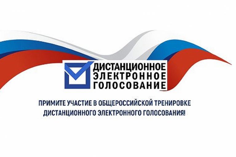 В Дагестане открыт прием заявок на участие в тестировании системы электронного голосования