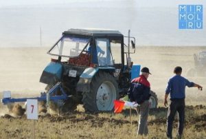 В Республике Дагестан в 2021 году рис посеют на площади 26 тысяч га