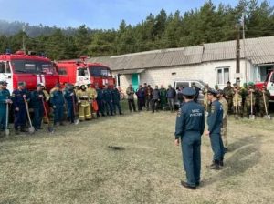 Почти 600 человек тушат лесной пожар в Акушинском районе