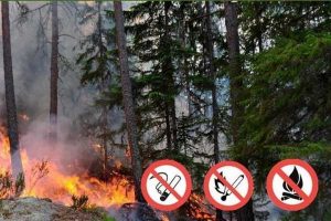 В Дагестане ситуация с пожарами держится на контроле