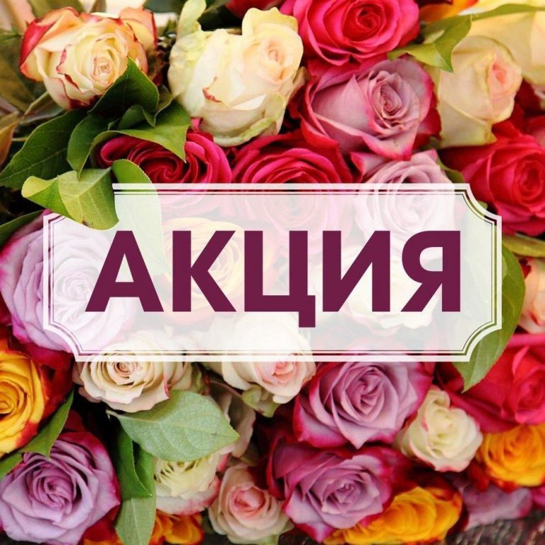 О проведении поощрительной акции