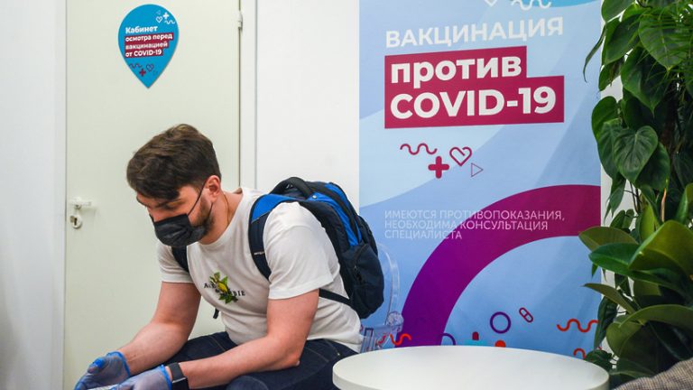 Привиться или не привиться – вот в чём вопрос
