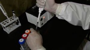 В Дагестан поступит 100 тыс. тестов для экспресс-диагностики COVID-19