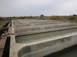 Проблема с нехваткой воды на Широкольском рыбокомбинате решена