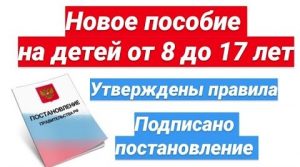 В Дагестане утвердили условия и порядок предоставления новых выплат на детей от 8 до 17 лет
