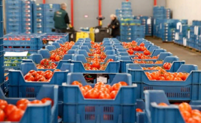 Более 323 тонн растениеводческой продукции зараженной карантинным вредным объектом не допустили к ввозу