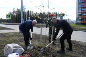 Замруководителя Администрации Президента РФ и Глава Карелии высадили деревья на улице Защитников Донбасса