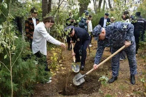 Росгвардейцы Дагестана высадили деревья в память о погибших коллегах