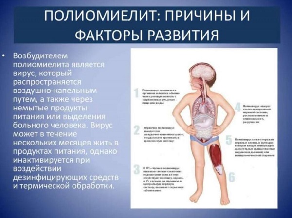 С 3 апреля в Дагестане начинается второй тур иммунизации от полиомиелита. Вакцинируются дети с 3 месяцев до 9 лет включительно