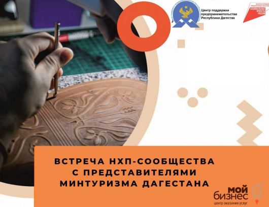 Какую поддержку может получить бизнес сферы НХП?