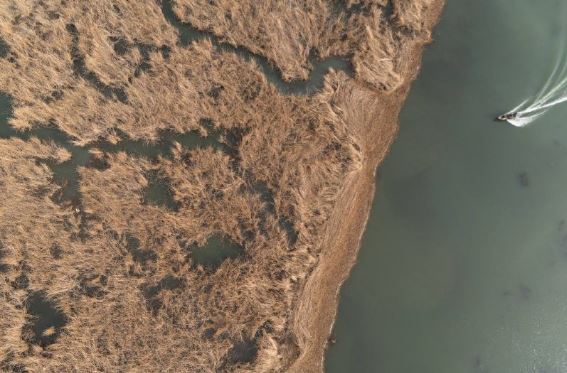 Федеральное агентство водных ресурсов в ближайшие годы займется восстановлением уникальной экосистемы Аграханского залива