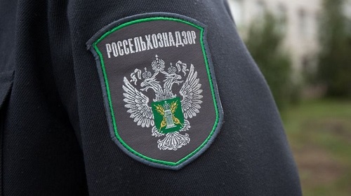 Россельхознадзор Дагестана проверит приграничные территории на наличие саранчи