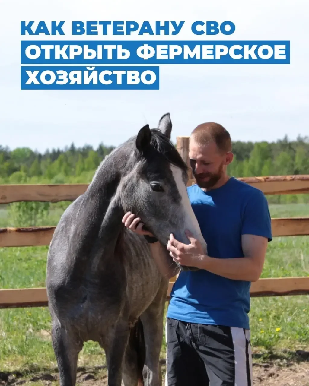 Как ветеранам СВО открыть фермерское хозяйство: обучение и гранты на развитие бизнеса