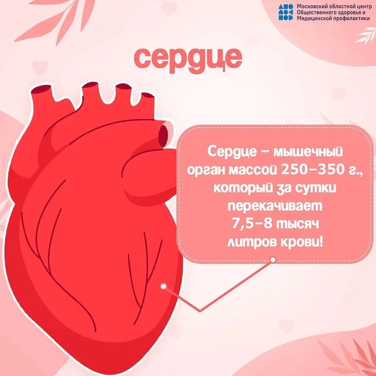 Факторы риска сердечно-сосудистых заболеваний