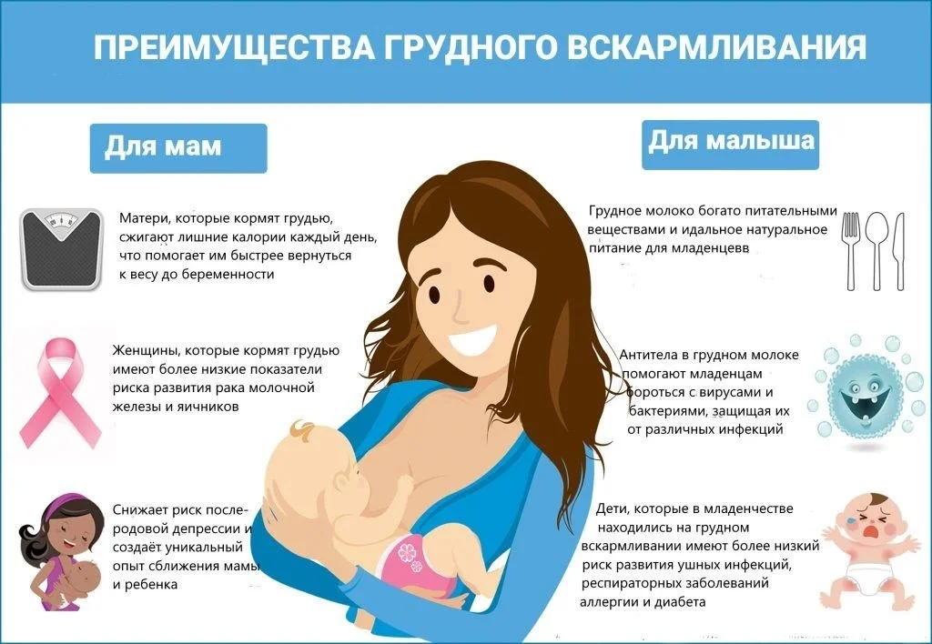 Польза грудного вскармливания для ребенка