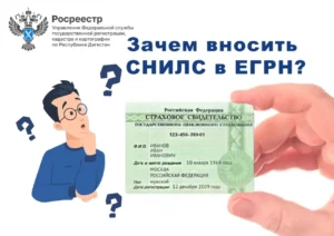 СНИЛС в ЕГРН - зачем он нужен и как его добавить