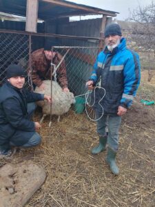 После паводков в Хасавюртовском районе усилили ветеринарный контроль