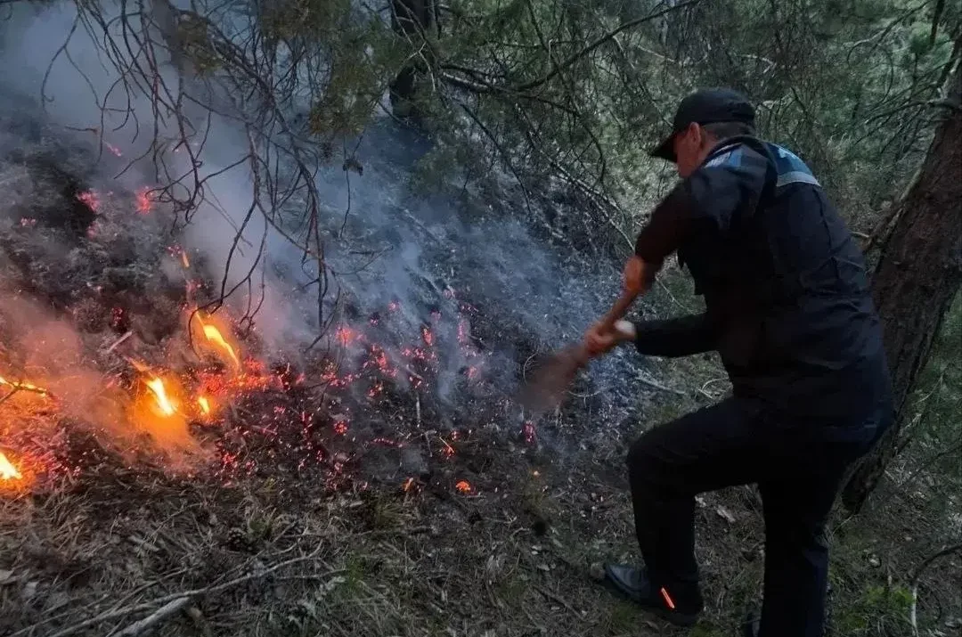 Пожар возле села Килятль в Гумбетовском районе удалось локализовать