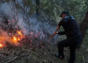 Пожар возле села Килятль в Гумбетовском районе удалось локализовать