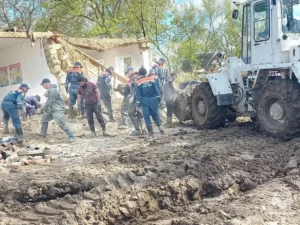 Донской и Тульский центры награждены Почётной грамотой