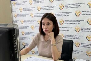 Вопросы реализации проекта «Чистый воздух» обсудили на федеральном штабе с участием Дагестана