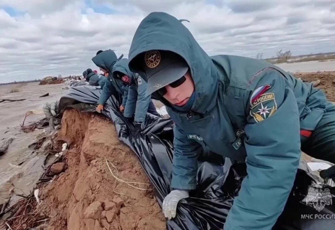 «Семь египетских казней»